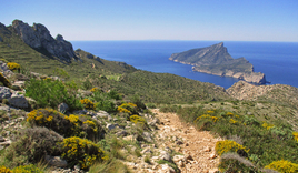 Foto PUENTE DEL 26 DE ABRIL AL 5 DE MAYO MALLORCA SIERRA DE TRAMUNTANA